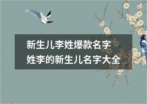 新生儿李姓爆款名字 姓李的新生儿名字大全