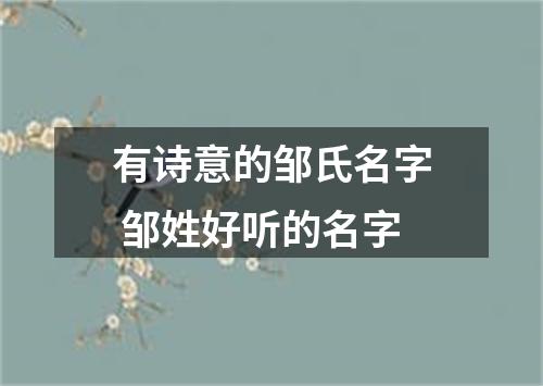 有诗意的邹氏名字 邹姓好听的名字