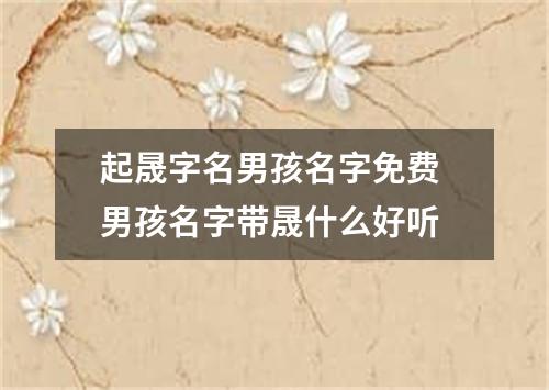 起晟字名男孩名字免费 男孩名字带晟什么好听