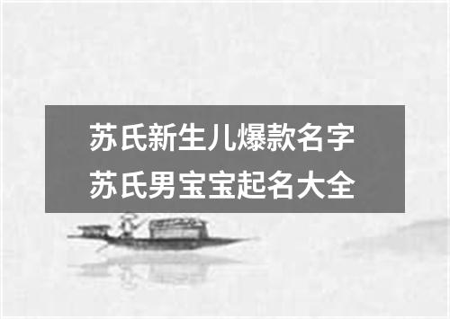 苏氏新生儿爆款名字 苏氏男宝宝起名大全