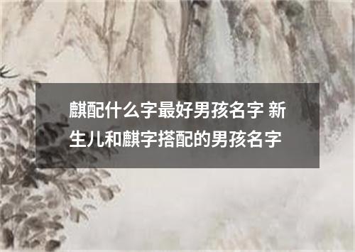 麒配什么字最好男孩名字 新生儿和麒字搭配的男孩名字