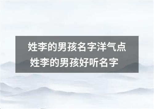 姓李的男孩名字洋气点 姓李的男孩好听名字