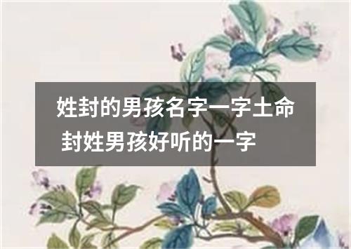 姓封的男孩名字一字土命 封姓男孩好听的一字