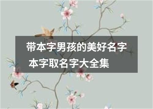 带本字男孩的美好名字 本字取名字大全集