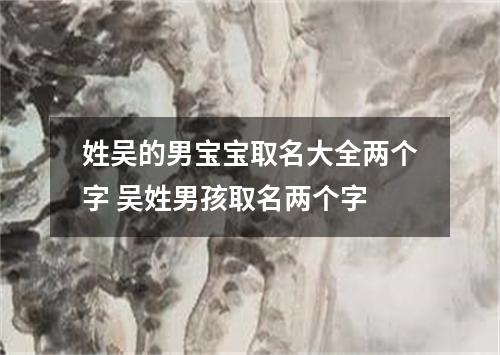 姓吴的男宝宝取名大全两个字 吴姓男孩取名两个字