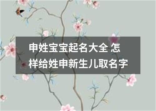 申姓宝宝起名大全 怎样给姓申新生儿取名字
