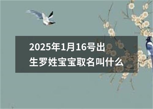 2025年1月16号出生罗姓宝宝取名叫什么