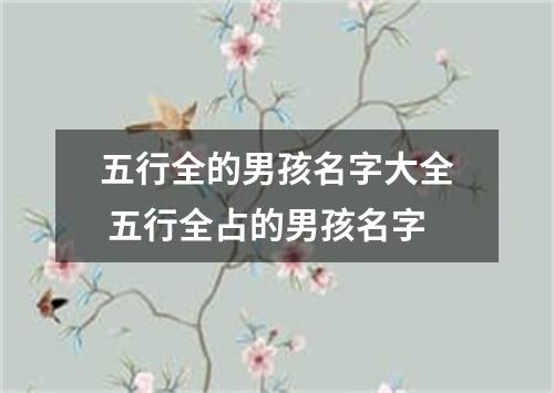 五行全的男孩名字大全 五行全占的男孩名字