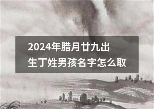 2024年腊月廿九出生丁姓男孩名字怎么取