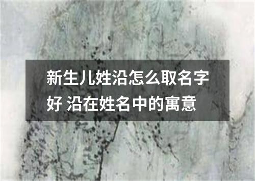 新生儿姓沿怎么取名字好 沿在姓名中的寓意