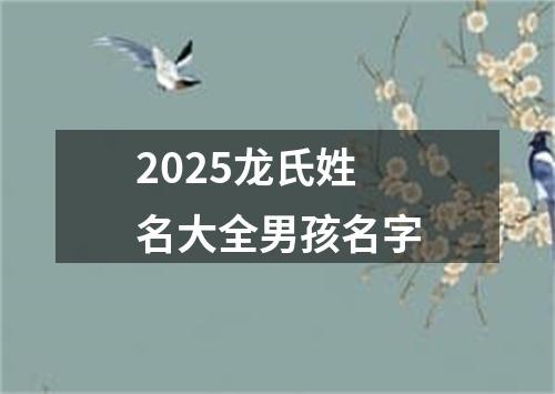 2025龙氏姓名大全男孩名字