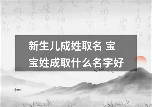 新生儿成姓取名 宝宝姓成取什么名字好