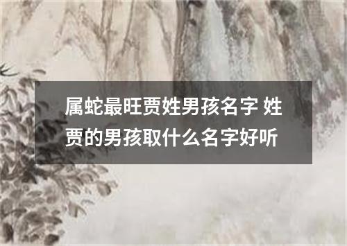 属蛇最旺贾姓男孩名字 姓贾的男孩取什么名字好听