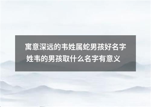 寓意深远的韦姓属蛇男孩好名字 姓韦的男孩取什么名字有意义