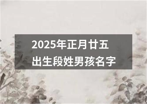 2025年正月廿五出生段姓男孩名字