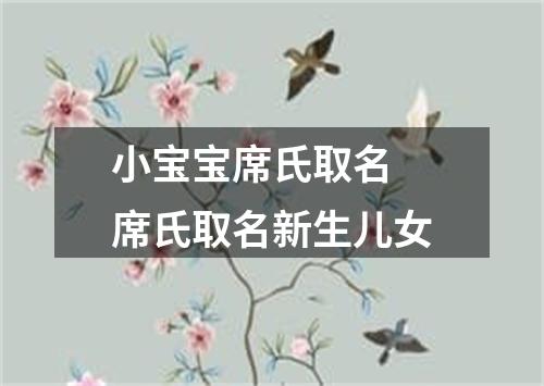 小宝宝席氏取名 席氏取名新生儿女