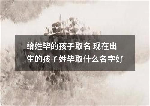 给姓毕的孩子取名 现在出生的孩子姓毕取什么名字好