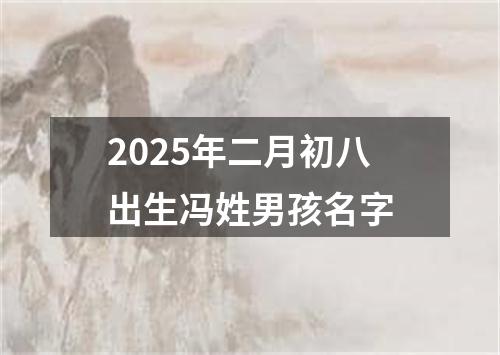 2025年二月初八出生冯姓男孩名字