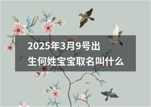 2025年3月9号出生何姓宝宝取名叫什么