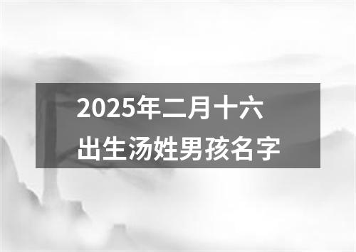 2025年二月十六出生汤姓男孩名字