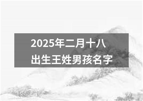 2025年二月十八出生王姓男孩名字