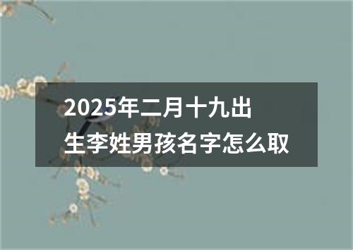 2025年二月十九出生李姓男孩名字怎么取