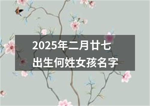 2025年二月廿七出生何姓女孩名字