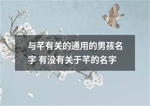 与芊有关的通用的男孩名字 有没有关于芊的名字