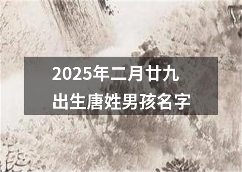 2025年二月廿九出生唐姓男孩名字