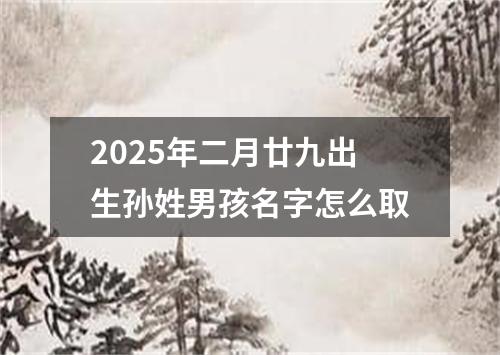 2025年二月廿九出生孙姓男孩名字怎么取