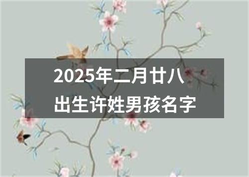 2025年二月廿八出生许姓男孩名字