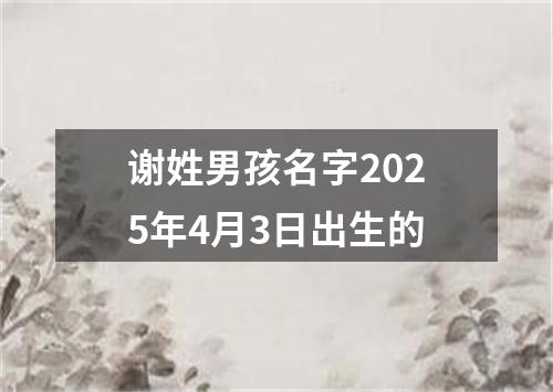 谢姓男孩名字2025年4月3日出生的