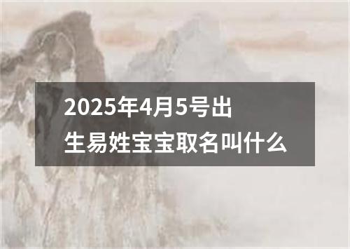 2025年4月5号出生易姓宝宝取名叫什么
