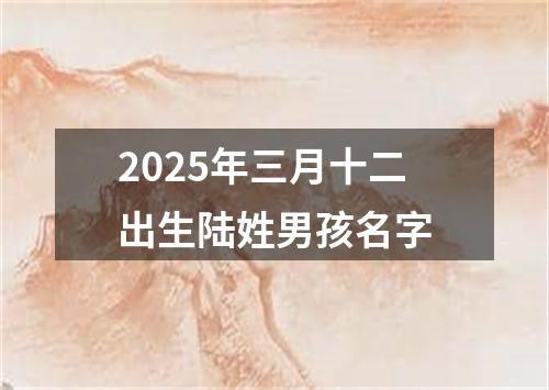 2025年三月十二出生陆姓男孩名字