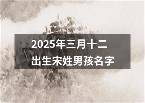 2025年三月十二出生宋姓男孩名字