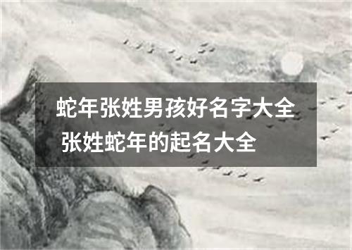 蛇年张姓男孩好名字大全 张姓蛇年的起名大全