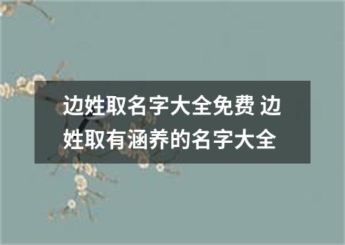 边姓取名字大全免费 边姓取有涵养的名字大全