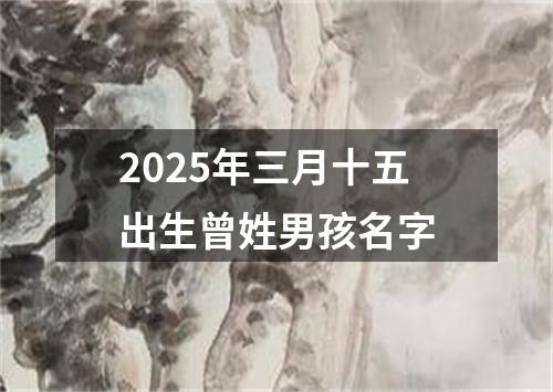 2025年三月十五出生曾姓男孩名字