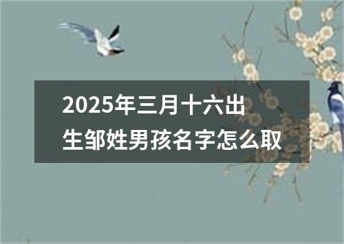 2025年三月十六出生邹姓男孩名字怎么取