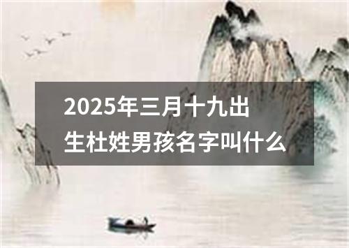 2025年三月十九出生杜姓男孩名字叫什么