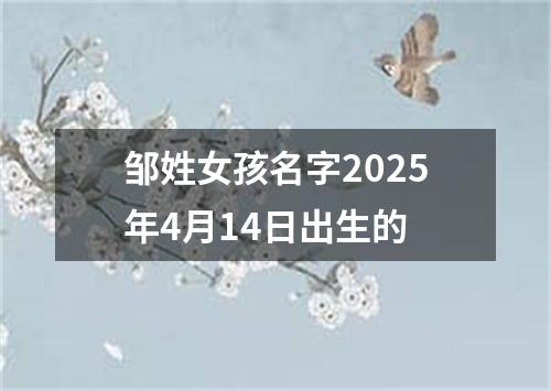 邹姓女孩名字2025年4月14日出生的