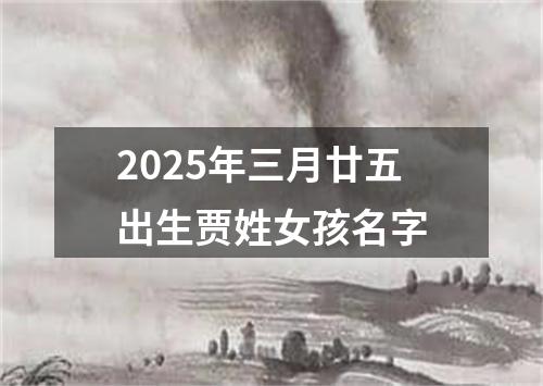2025年三月廿五出生贾姓女孩名字