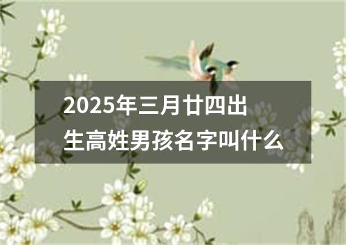 2025年三月廿四出生高姓男孩名字叫什么
