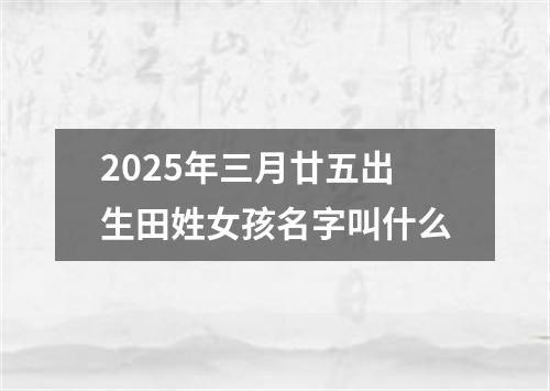 2025年三月廿五出生田姓女孩名字叫什么