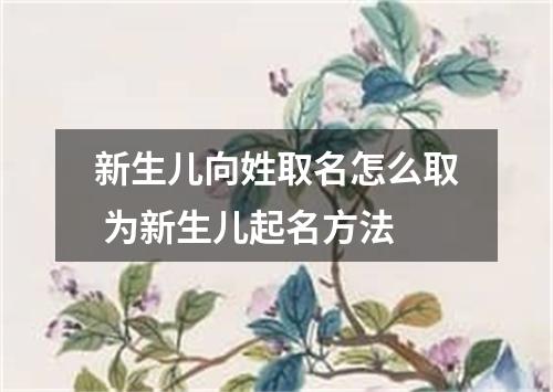 新生儿向姓取名怎么取 为新生儿起名方法