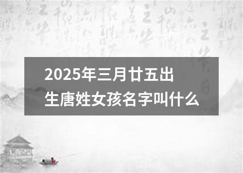 2025年三月廿五出生唐姓女孩名字叫什么