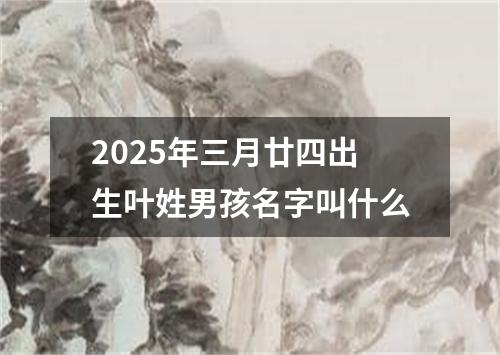 2025年三月廿四出生叶姓男孩名字叫什么