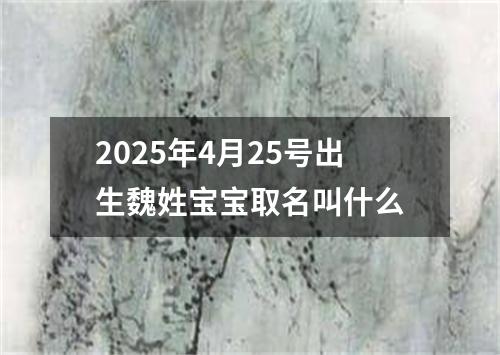 2025年4月25号出生魏姓宝宝取名叫什么