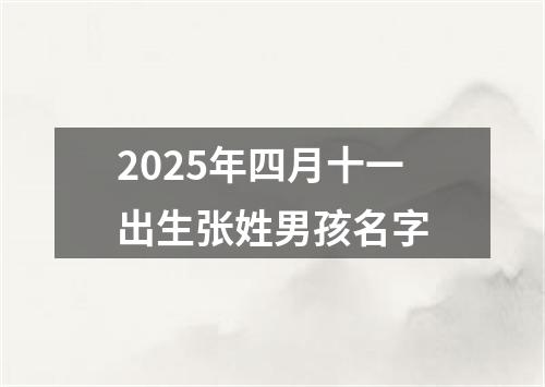 2025年四月十一出生张姓男孩名字