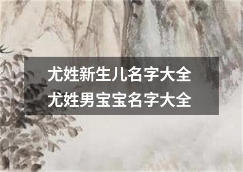 尤姓新生儿名字大全 尤姓男宝宝名字大全